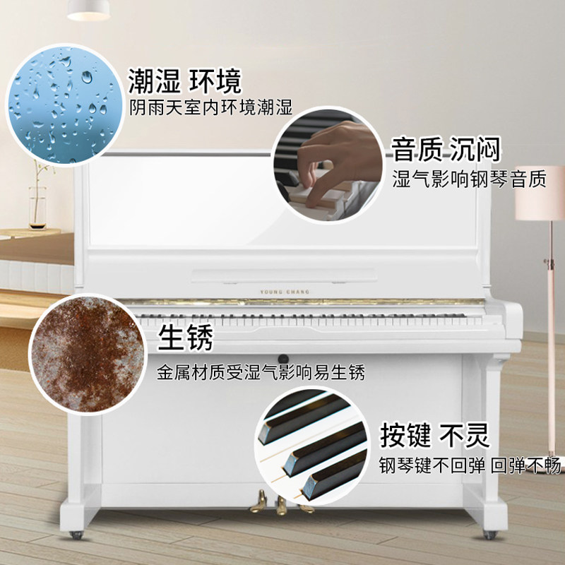 朝卫钢琴木吉他干燥剂防潮小可重复 朝发干燥剂