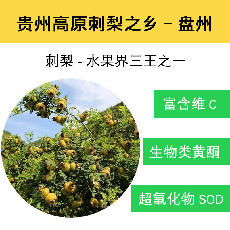 天刺力刺梨原浆原汁鲜榨贵州特产刺梨汁原液新鲜汁贵阳天刺梨饮料_虎窝淘