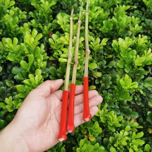 教棍戒条尺子竹鞭家用软竹条竹条子细竹枝竹鞭子教鞭藤鞭子软鞭子_虎窝淘