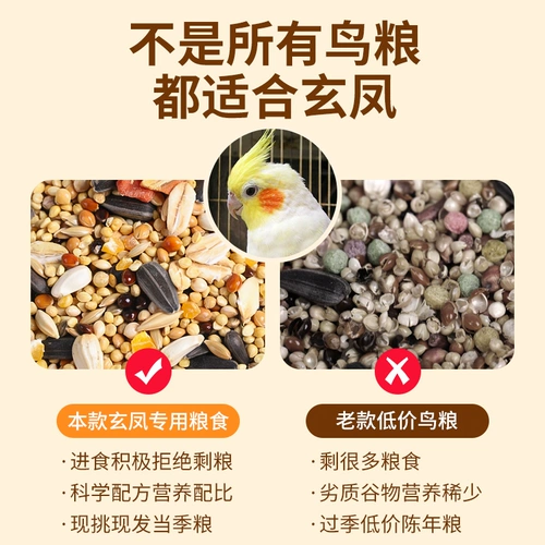 Сюанфенг попугай специальное зерно, желтая долина, просо, гана, мелкие семена дыни. Смешанное зерно, птицы, птицы и птицы корм