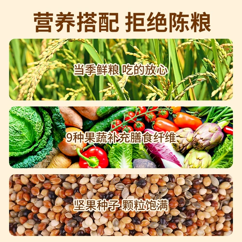 Сюанфенг попугай специальное зерно, желтая долина, просо, гана, мелкие семена дыни. Смешанное зерно, птицы, птицы и птицы корм