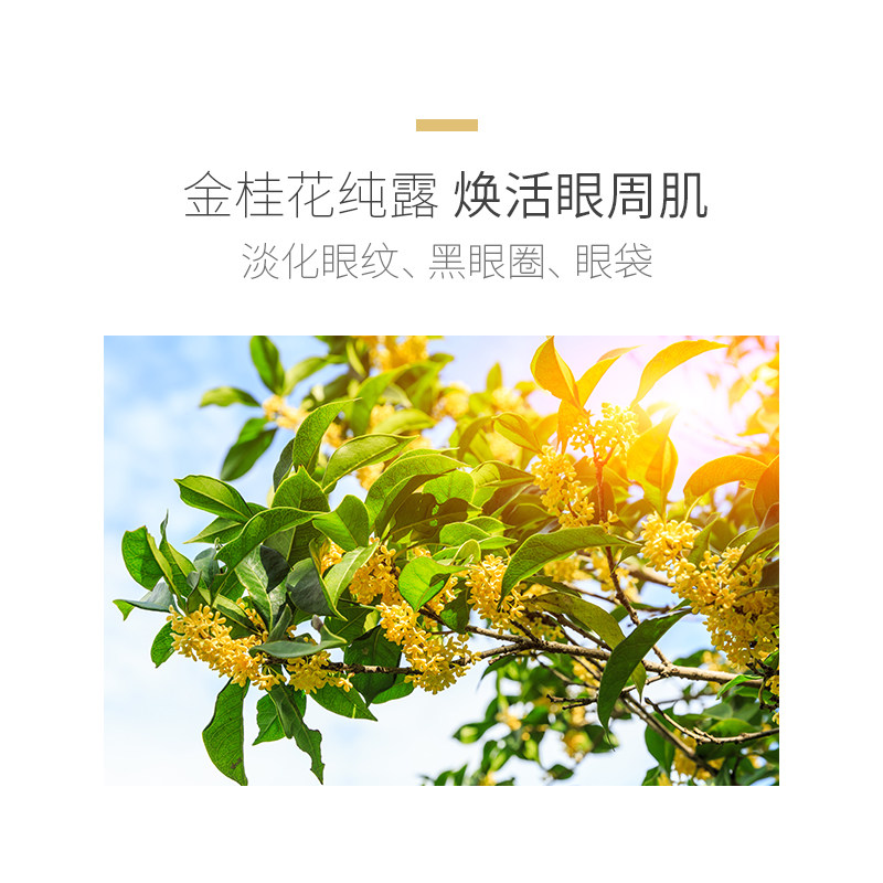 lza蛇毒去淡化眼袋黑眼圈女眼贴膜 lza眼膜