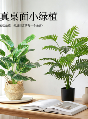 仿真植物小盆栽室内桌面装饰摆件