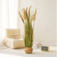 Reed good looking hot selling landscaping decoration