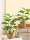 Lianyou desktop ornaments simulated fake flower potted plants