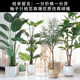 Bird of Paradise Large Nordic Indoor Decoration Simulation Plant