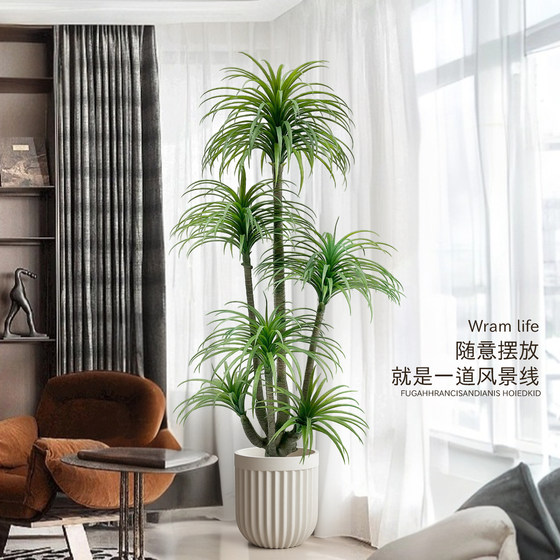 Simulated green plant Dracaena indoor living room TV cabinet