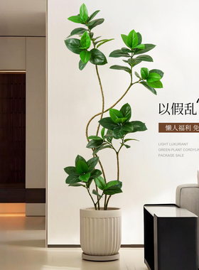仿真孟加拉榕室内大型高端轻奢装饰摆件高品质仿生植物落地盆栽树