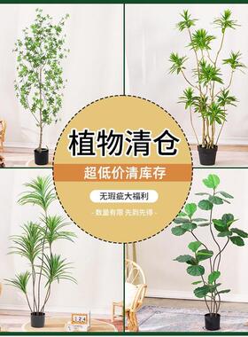 仿真绿植高端轻奢假植物盆栽