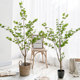 Simulated green plant ornaments Japanese hanging clock plant Mazuimu clothing store indoor living room decoration fake tree floor-standing potted plant
