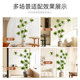 Nordic style lily, bamboo and pomelo floor-standing potted plant
