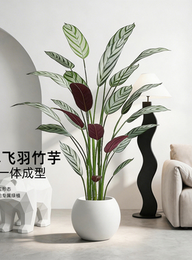 高端轻奢仿真飞羽竹芋室内盆栽