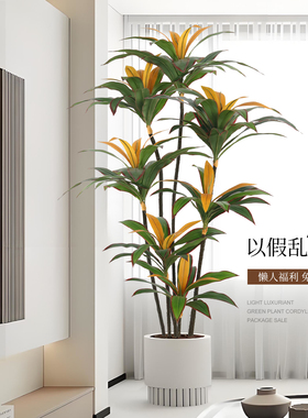 仿真植物红边铁室内客厅大型落地盆栽摆件高级仿生绿色轻奢装饰树