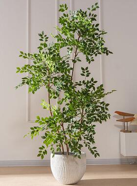 仿真绿植榆钱树室内大型高端轻奢装饰摆件盆栽高品质仿生绿色植物
