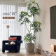 Fake green plant peacock wood indoor living room sofa side decorative ornaments high quality bionic plants large simulated potted plants