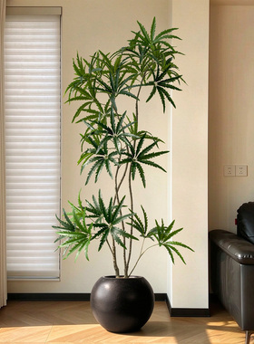 孔雀木仿真绿植轻奢落地盆栽