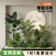 Indoor large simulated green plant floor-standing potted ornaments