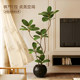 Fake tree bionic black diamond decoration next to the TV cabinet in the living room