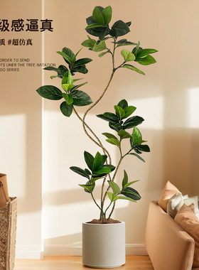 仿真绿植孟加拉榕室内客厅装饰