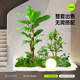 Simulated green plant landscaping combination indoor entrance