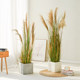 Reed good looking hot selling landscaping decoration