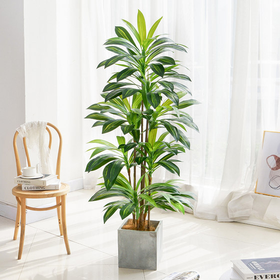Nordic simulated green plants Brazilian wood potted plants floor-standing indoor
