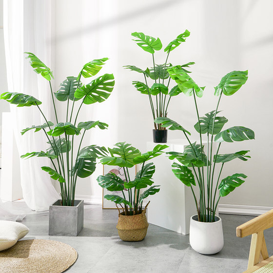 Love pomelo turtle back simulation green plant large size