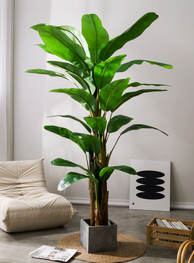 北欧仿真绿植恋柚芭蕉树