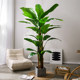 Nordic simulated green plants pomelo banana tree