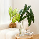 Simulated high-end calla lily leaves office desktop display vase living room decoration photo props