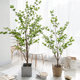 Simulated green plant ornaments Japanese hanging clock plant Mazuimu clothing store indoor living room decoration fake tree floor-standing potted plant