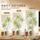 Simulated green plant Nandina bamboo floor-standing potted indoor large-scale bionic plant ornaments living room light luxury decorative flower fake tree