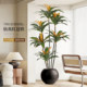 Fake green plants, red edge iron, indoor living room, high-end light luxury plant potted ornaments, high-end bionic decorative floor-standing trees