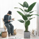 Bird of Paradise Large Nordic Indoor Decoration Simulation Plant