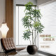 Simulated green plant peacock wood indoor living room antique style decorative ornaments large high-quality bionic plant atmosphere tree