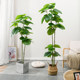 Love pomelo simulation heart leaf banyan simulation degree 11 restoration