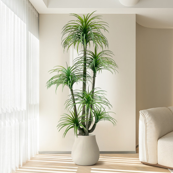 Simulated green plant Dracaena indoor living room TV cabinet