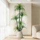 Simulated green plant Dracaena indoor living room TV cabinet
