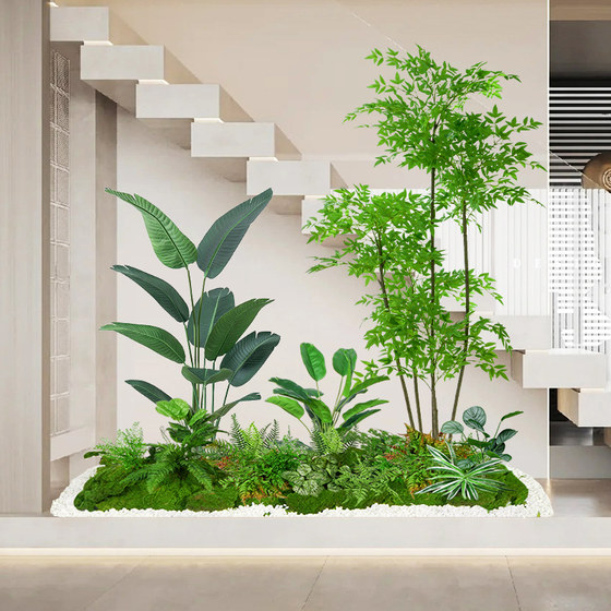 Focus on commercial space landscape plants