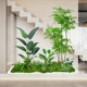 Focus on commercial space landscape plants