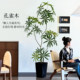 Fake green plant peacock wood high-end light luxury indoor living room large floor-standing ornaments decorative tree high-quality bionic plants