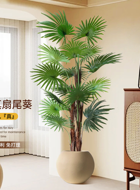假绿植扇尾葵室内高端轻奢装饰摆件高品质仿生绿色植物高级仿真树