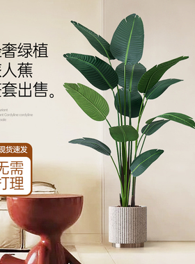 品质甄选高端轻奢仿真绿植旅人蕉