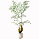 Lianyou simulated Hericium fern indoor living room decoration
