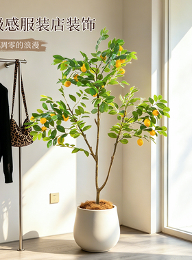 高级感仿真柠檬树盆栽室内装饰