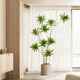Nordic style lily, bamboo and pomelo floor-standing potted plant