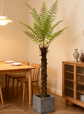 仿真金丝猴蕨植物盆栽中式蕨类造景装饰仿真树绿植盆景猴头蕨摆件