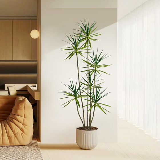 Love pomelo simulated dragon blood tree plant floor ornaments