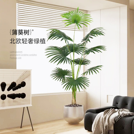 Selection of high-quality light luxury simulated green plants Pu Kui tree