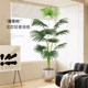 Selection of high-quality light luxury simulated green plants Pu Kui tree